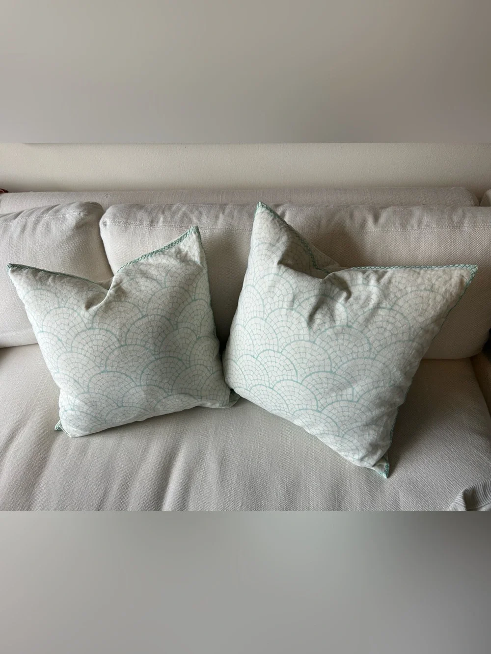 JOHN ROBSHAW TEXTILES Embroidered Pillow with Down Insert 20” x 20”